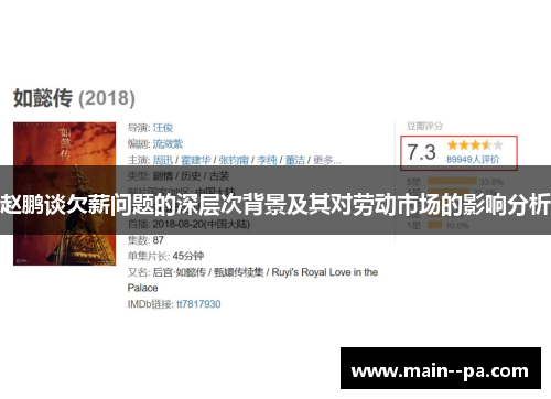 赵鹏谈欠薪问题的深层次背景及其对劳动市场的影响分析