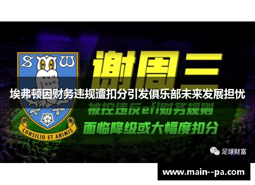埃弗顿因财务违规遭扣分引发俱乐部未来发展担忧